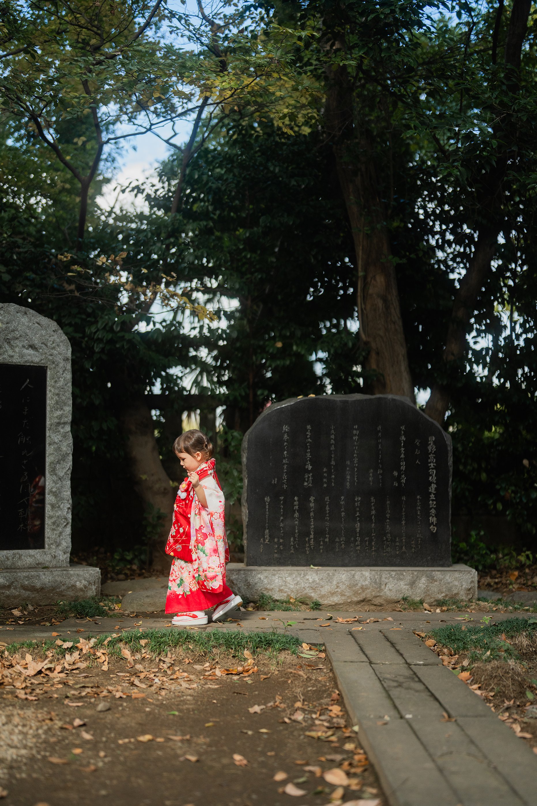 DSC08249.jpg