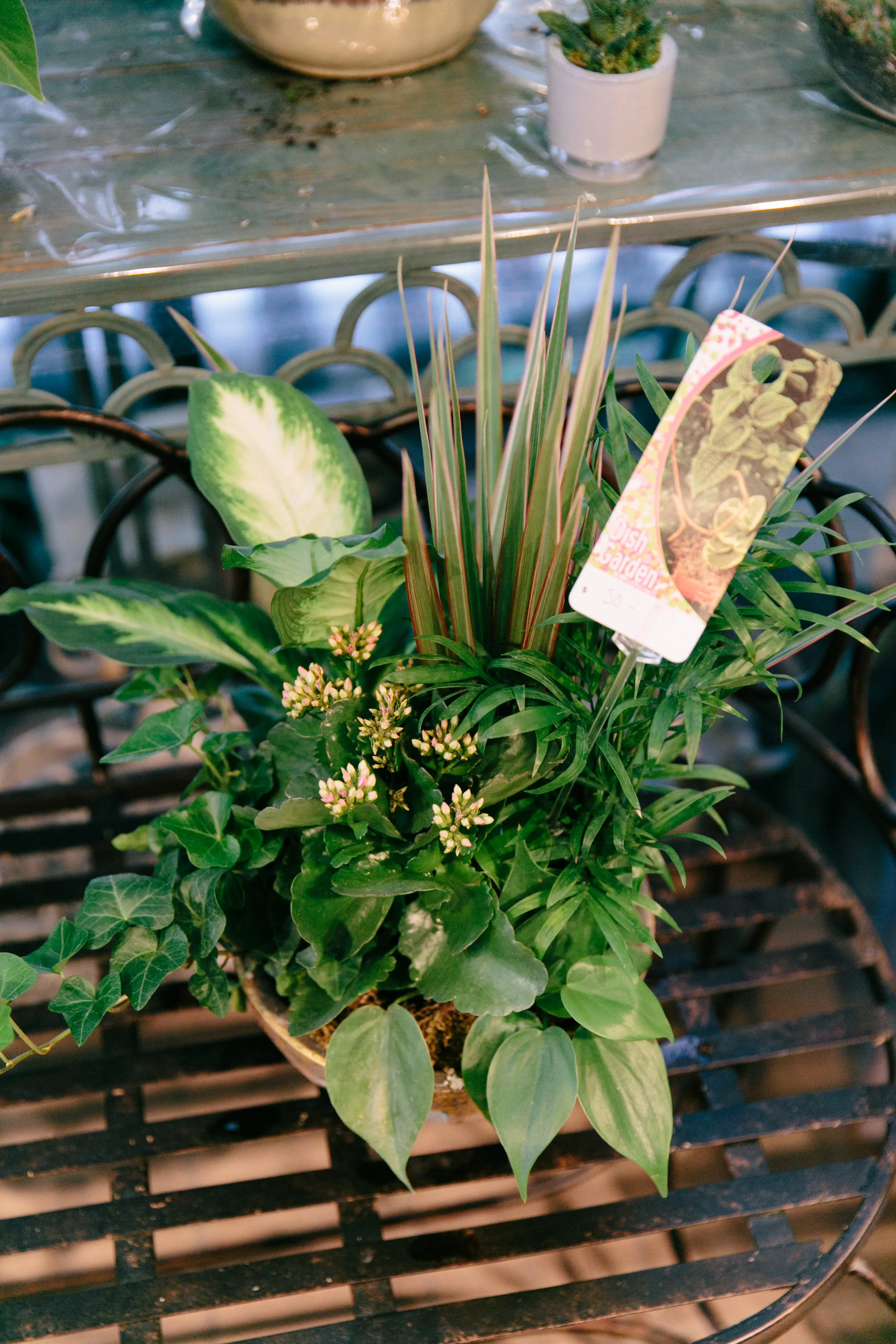 Medium Greenery Gift