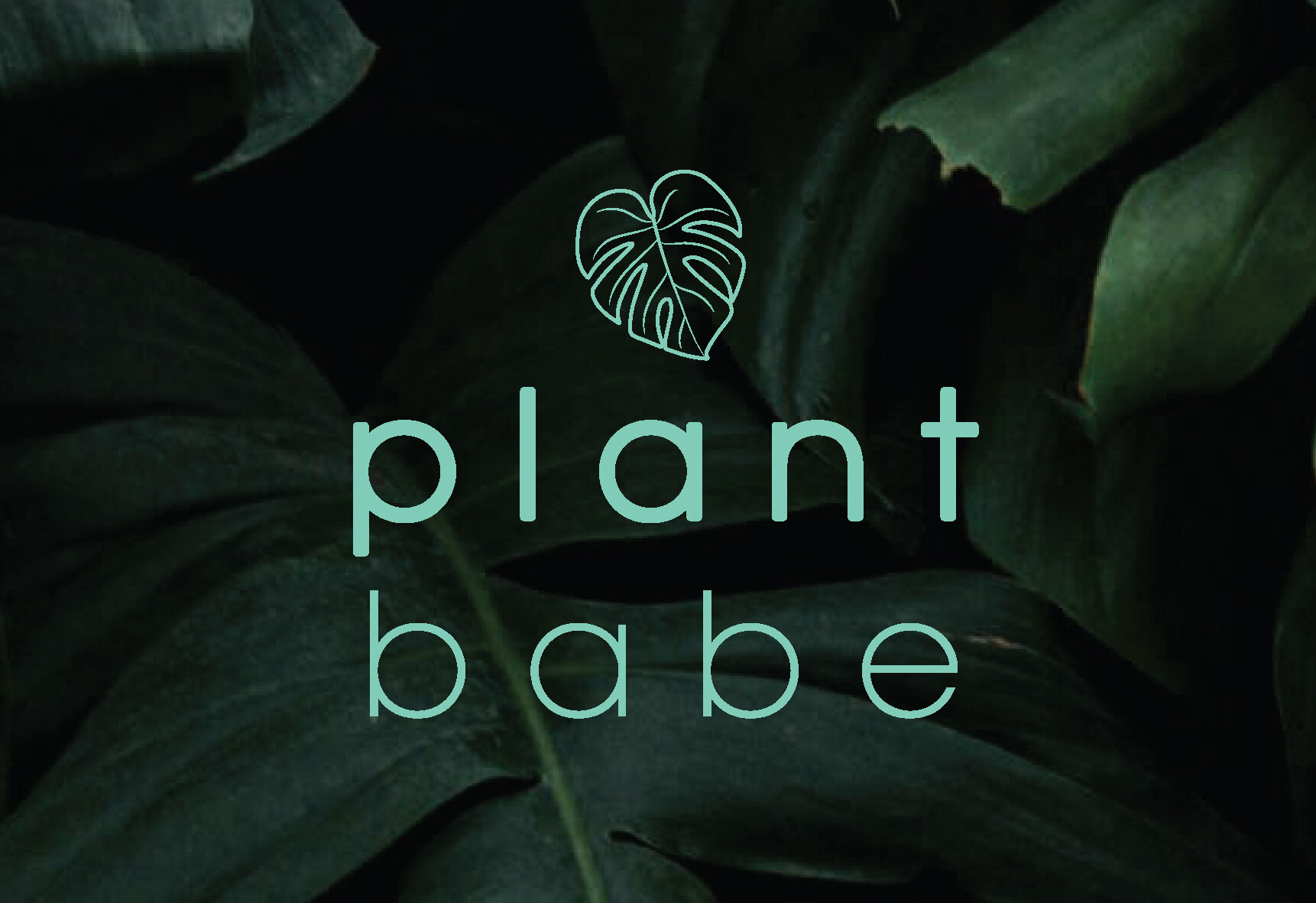 plant babe_-01.jpg