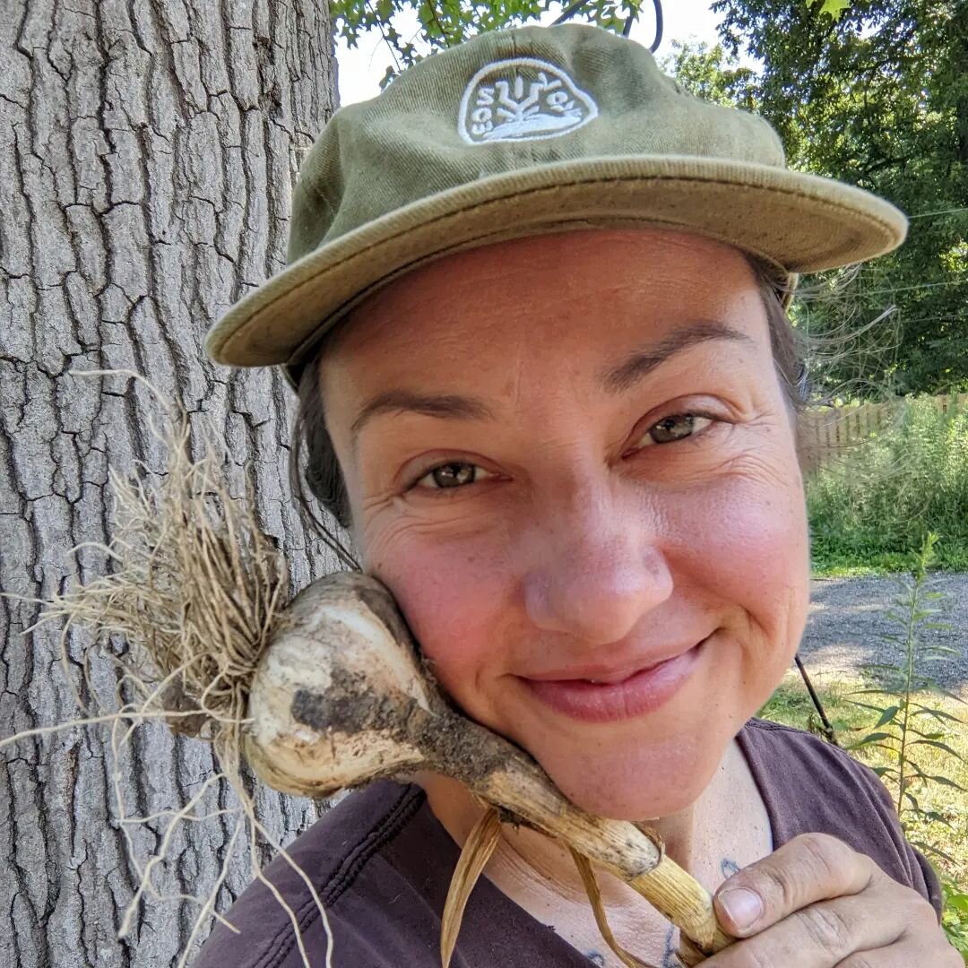 harmonious music garlic harvest 2022

#garlicisgold #farmingisaspiritualpractice #farmsabbaticalfail #locallyadapted