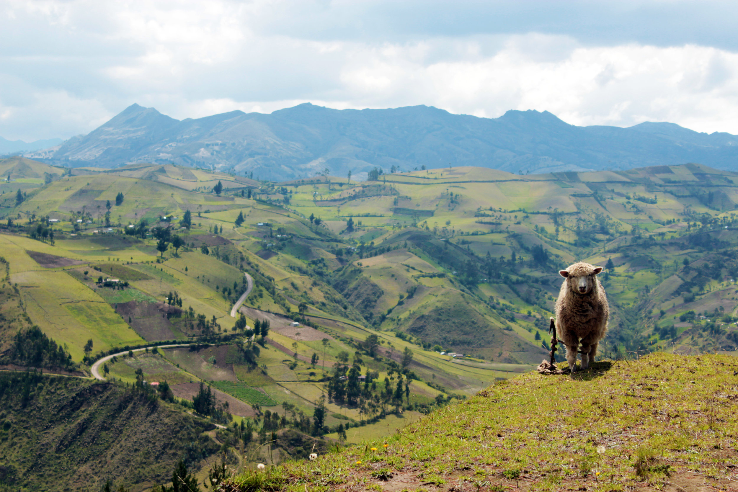 Travel Tips: Day Hiking in Isinlivi, Ecuador — Always the Adventure