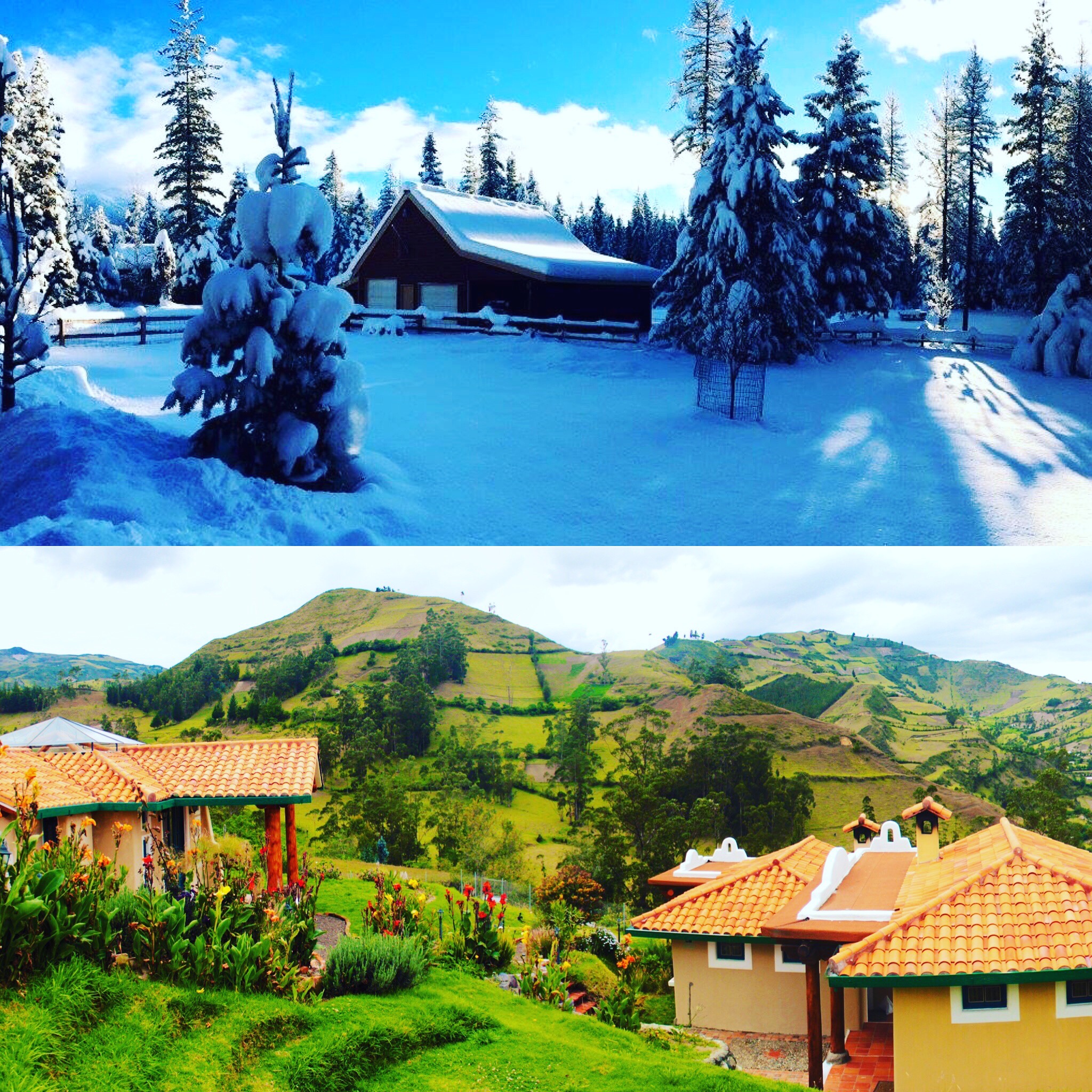 Christmas 2015 vs. Christmas 2016: Quite the difference in view.