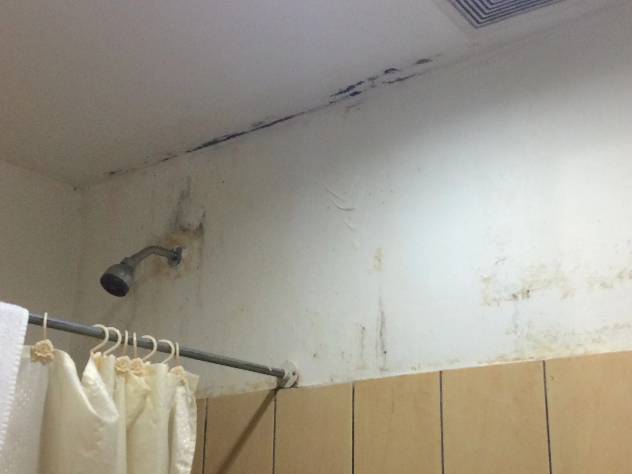 A typical hotel shower. Nothing says creature comforts like black mold!