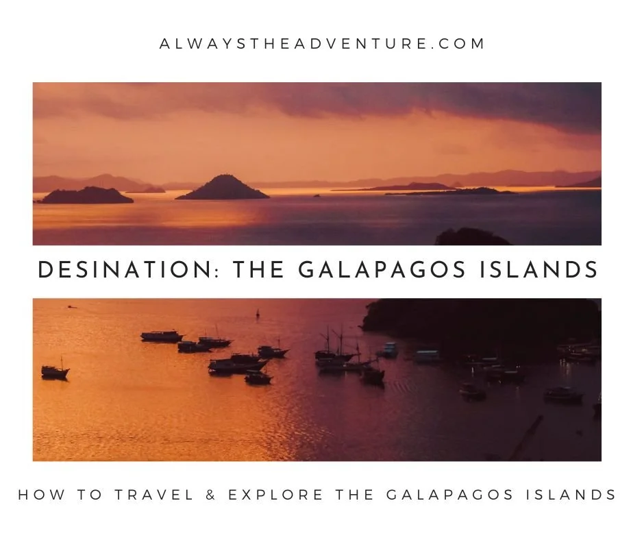 How to Travel &amp; Explore the Galapagos Islands?