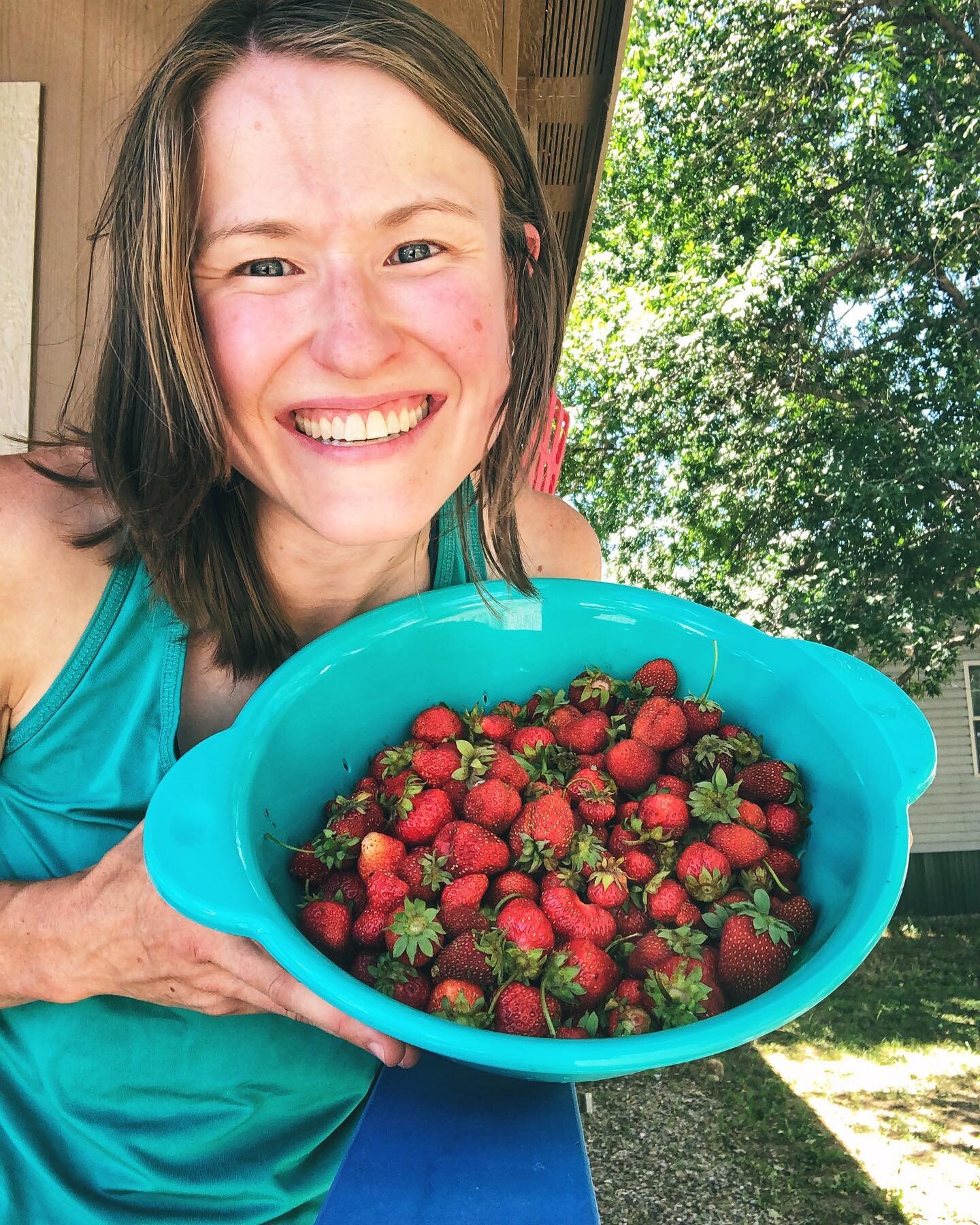 Gardening has taught me so many things about eating and growing and working symbiotically with the world around us. 
This is my second summer going all in and I am still continually amazed by what can come from seemingly small plots of land.
Nature p