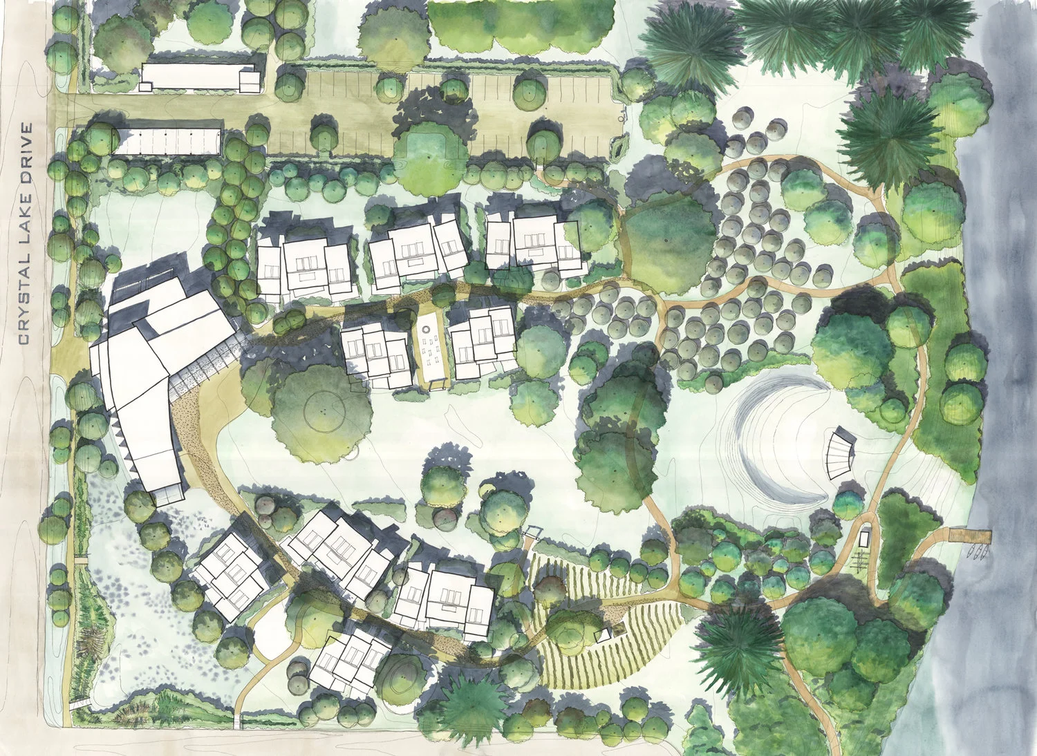 rackleyCOHO+watercolor+small2.jpg