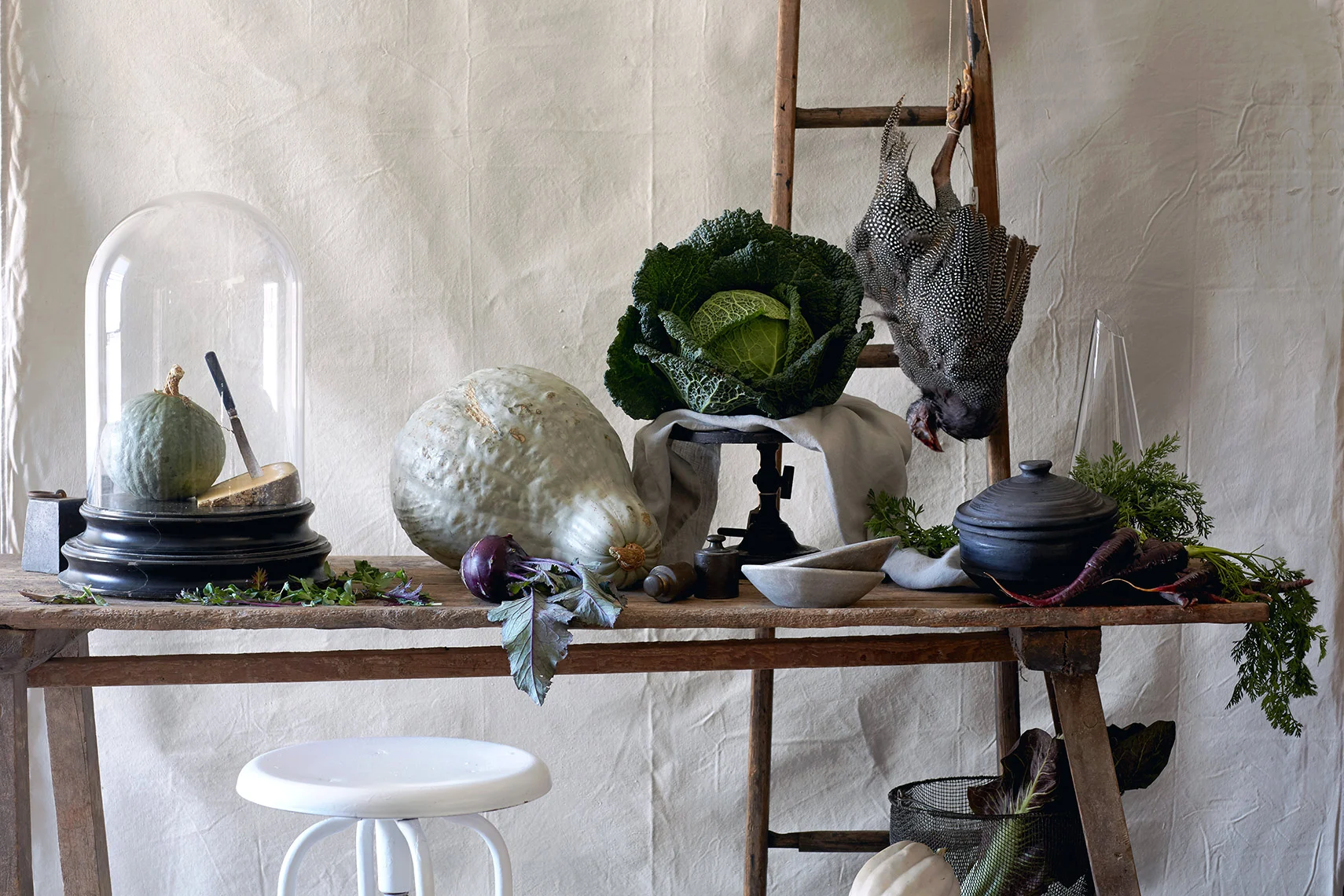 2016_1016_DT_Nora_Singley_Test_StillLife.jpg