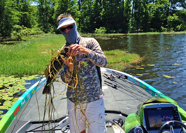 Wrapped up in vines, wrestling this 3-pounder from the mat wasn't easy.