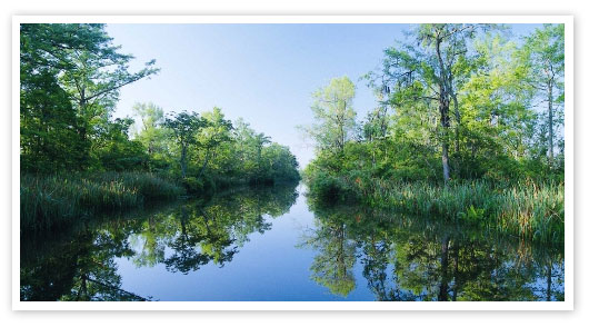 Winyah Bay backwater