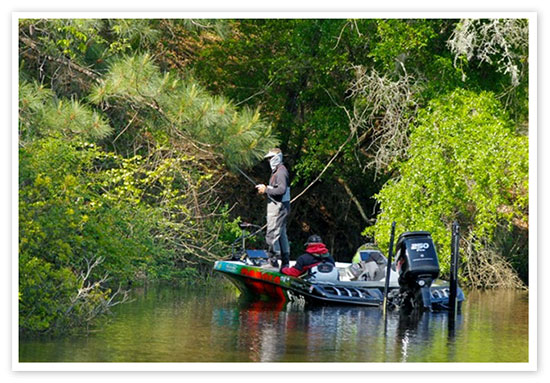 The backwater banks of Winyah Bay are lush with greenery. - photo by James Overstreet, courtesy of BASSMASTER.com