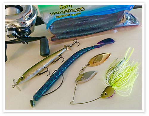 These were my most productive lures during the competition.