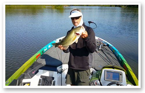 Quality fish like this still roam the shallows of the Potomac River