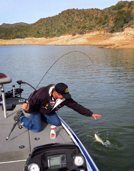 Gary Senft will throw a drop shot while his partner fishes a reaction bait. Once a fish is caught, they’ll stay there and fish it for a bit.