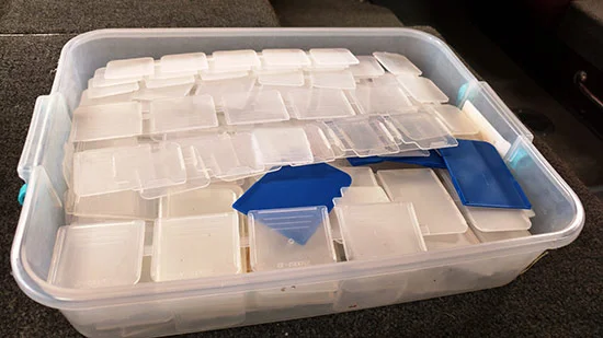blog-dividers.jpg