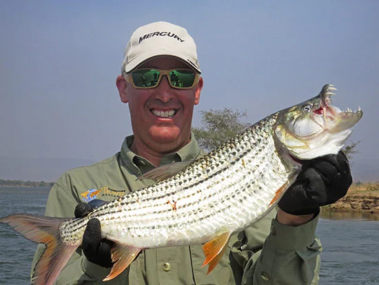blog-tigerfish01.jpg