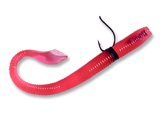 One of Tai’s favorite baits for deep winter bass — a wacky rigged pink Kut Tail worm in Morning Dawn with a tungsten nail in the head.