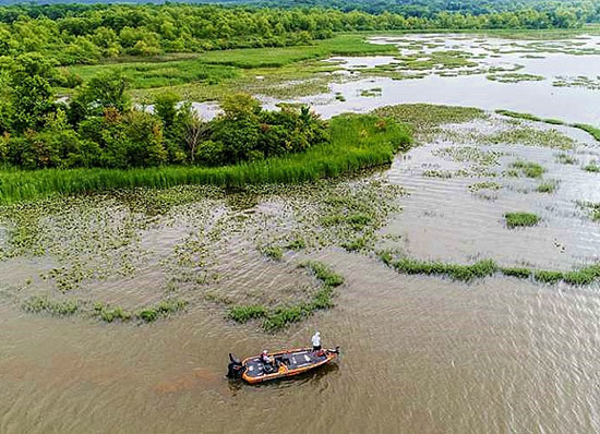 Many anglers targeted shallow beds of water willow and lily pads. - photo courtesy of BASSMASTER.com