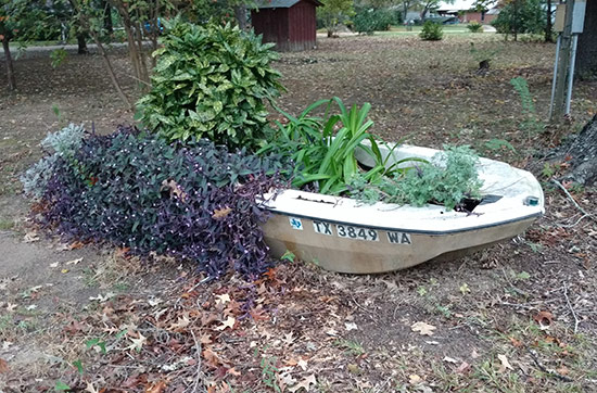 blog-planter.jpg