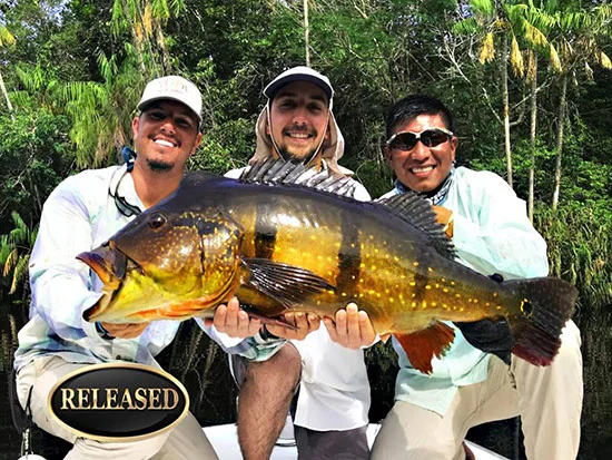 blog-igfa01.jpg