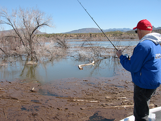 Flipping a Flappin Hog or a Psycho Dad to standing timber is a fantastic way to catch big fish in the fall.