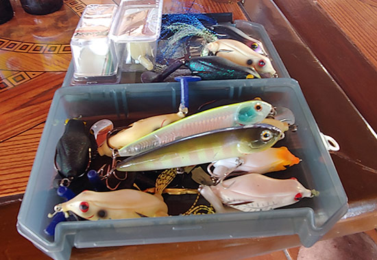 insideline-blog-hideki02.jpg