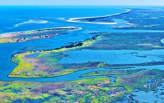 Although located on the Carolina coast, Winyah Bay's many tidal creeks do harbor largemouth bass.