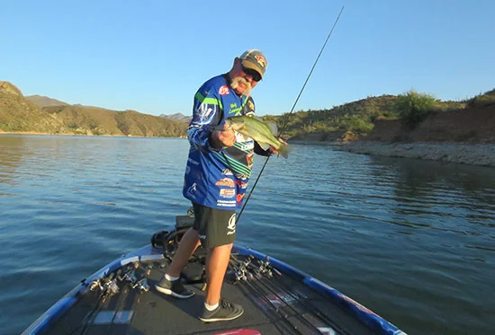 insideline-summerbass04.jpg