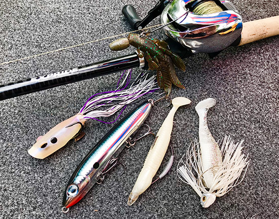 Some of the lures I used during the event included (Top, then L-R) the Yamamoto Flappin' Hog, Terminator Popping Frog, Rapala Skitter V, Skinny Dipper and 1/2oz. swim jig with Yamamoto Zako trailer.