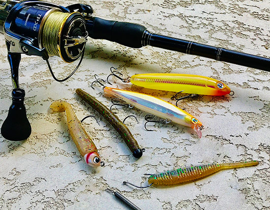 These are among my favorite lures for the St. Lawrence. (Top to bottom) they are a Rapala Skitter V and Shadow Rap, 4-inch Senko with 3/16-ounce VMC Half Moon Jig, Hildebrandt Drum Roller swimbait, and 3-inch Yamamoto Shad Shape Worm tied to a VMC Octopus Hook with 1/2-ounce VMC Tungsten Cylinder Weight.