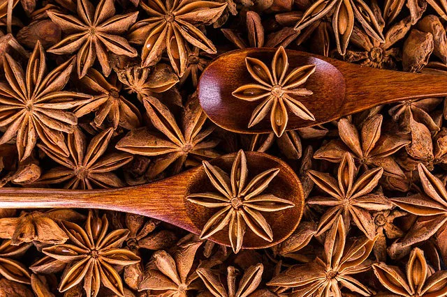 star-anise.jpg
