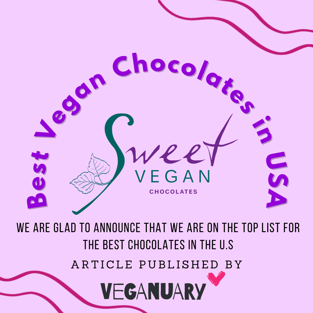 Best Vegan Chocolate US  What Chocolate is Vegan?