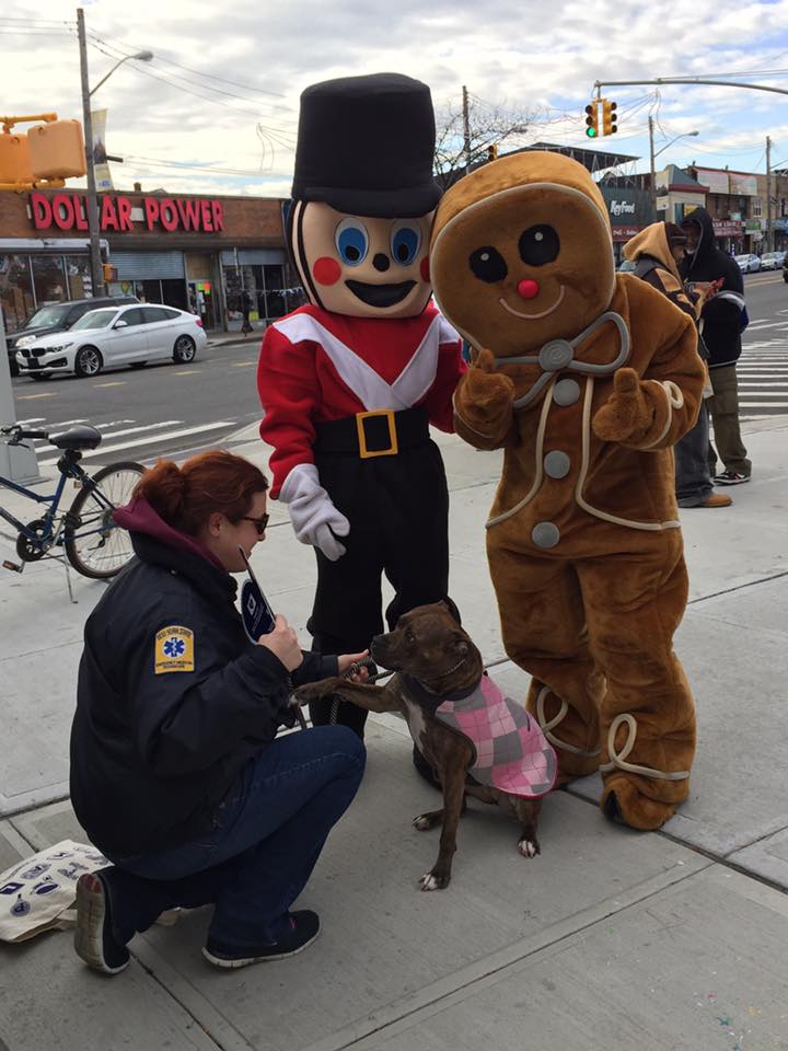 DogsShop.jpg