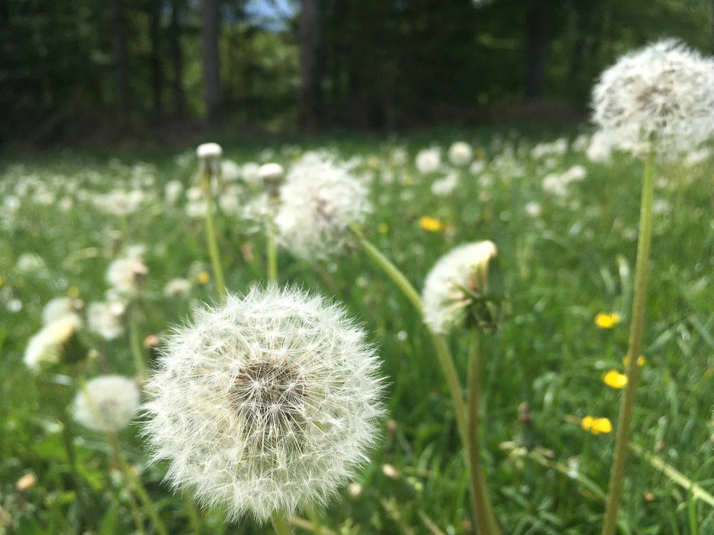 Der Sommer ist noch nicht vorbei!