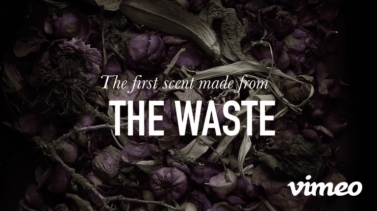 ELO Case Study-high.gif