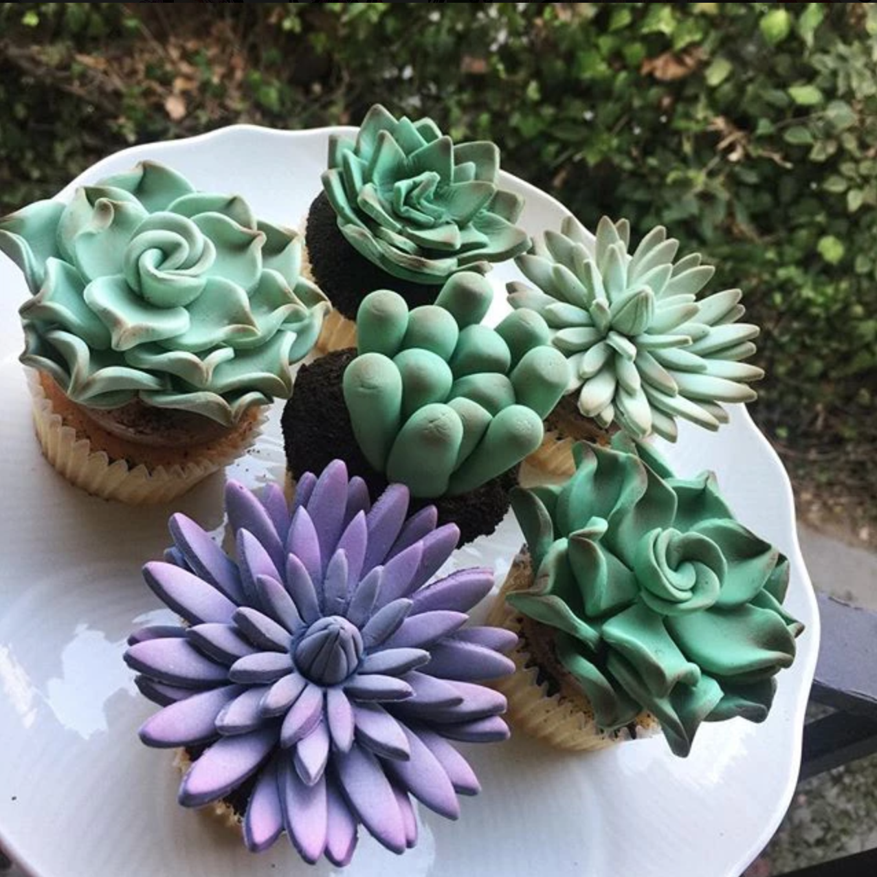 CUPCAKES + CAKES Rockiie’s Cakes Meet the cupcakes + cakes you’ll want to eat, but will also debate if they should forever be frozen as as art, because Rockiie’s Cakes makes the CUTEST sweets. Succulent cactus cupcakes that look too real to eat? I mean, who’s gonna stop us?