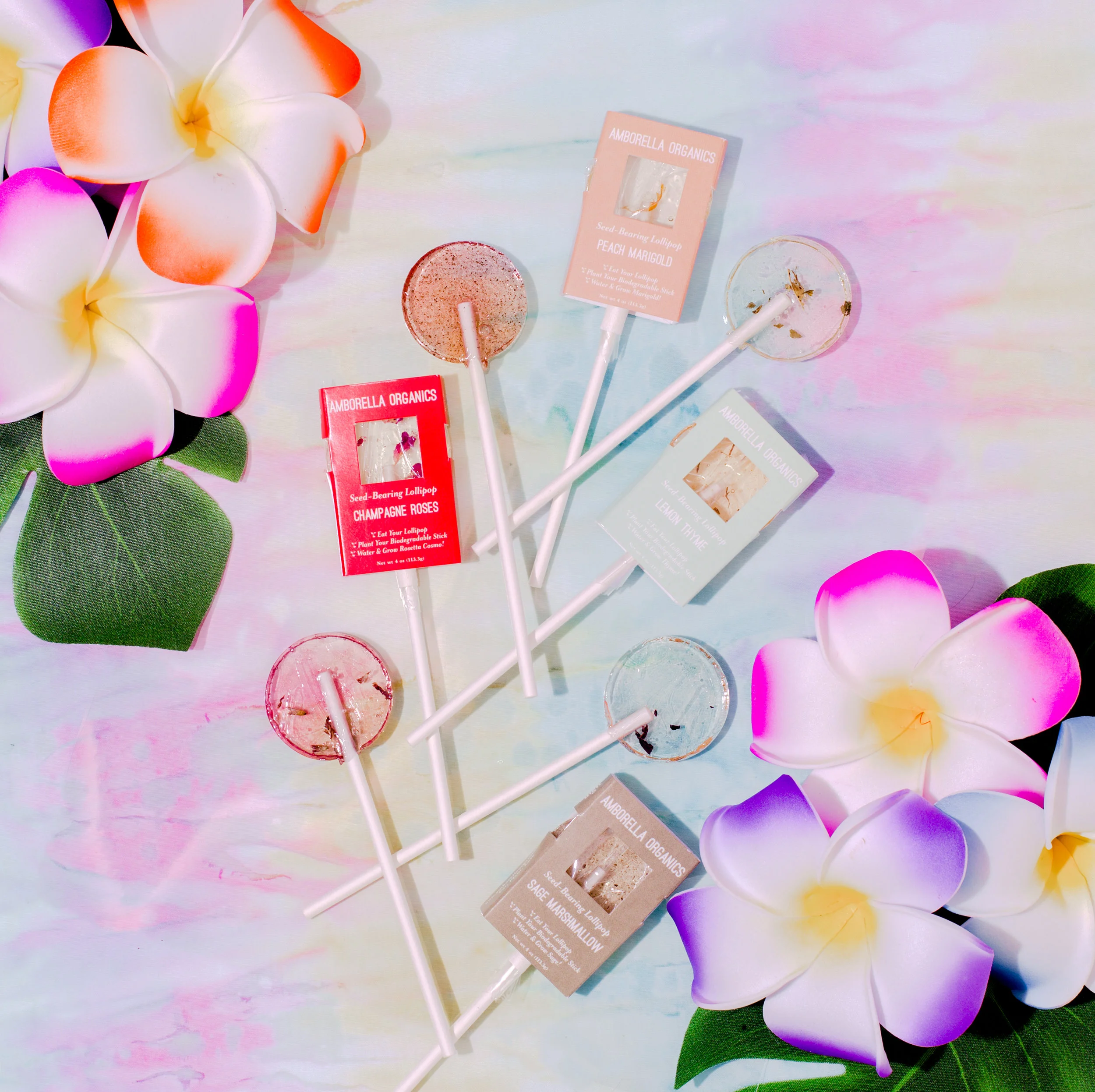 SEED-BEARING LOLLIPOPS
