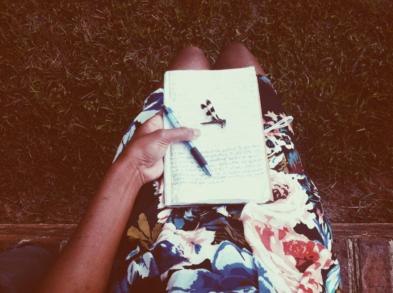 Journaling, 2014. Side of the road, Upper Marlboro, MD.