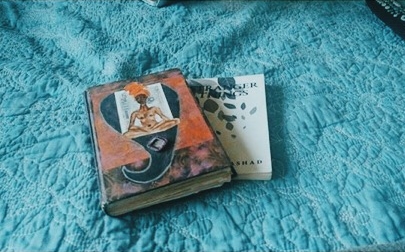 Delicia's Vagabroad Journal, a custom hardcover!