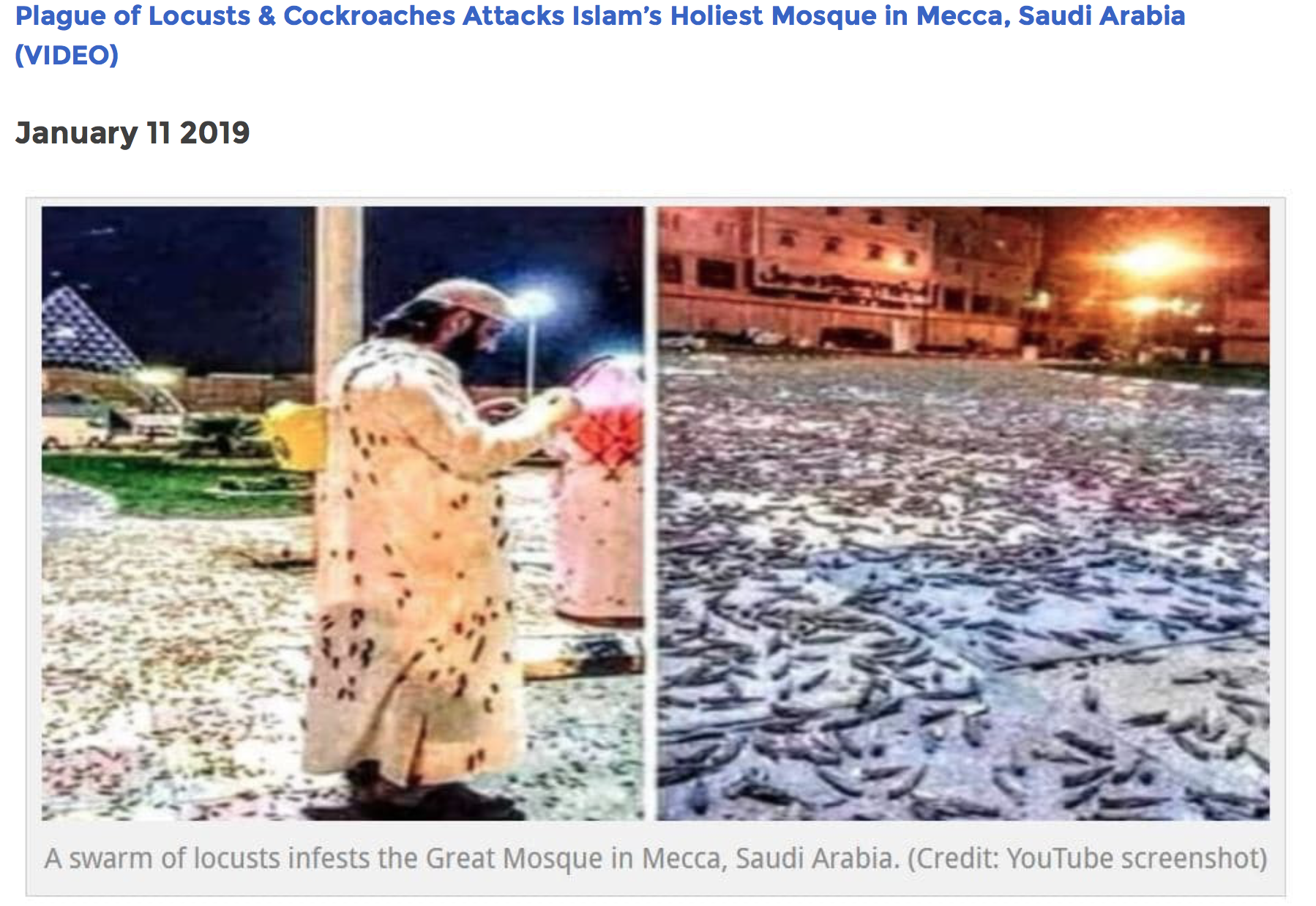 Screen Shot 2019-01-19 at 1.50.31 PM.png
