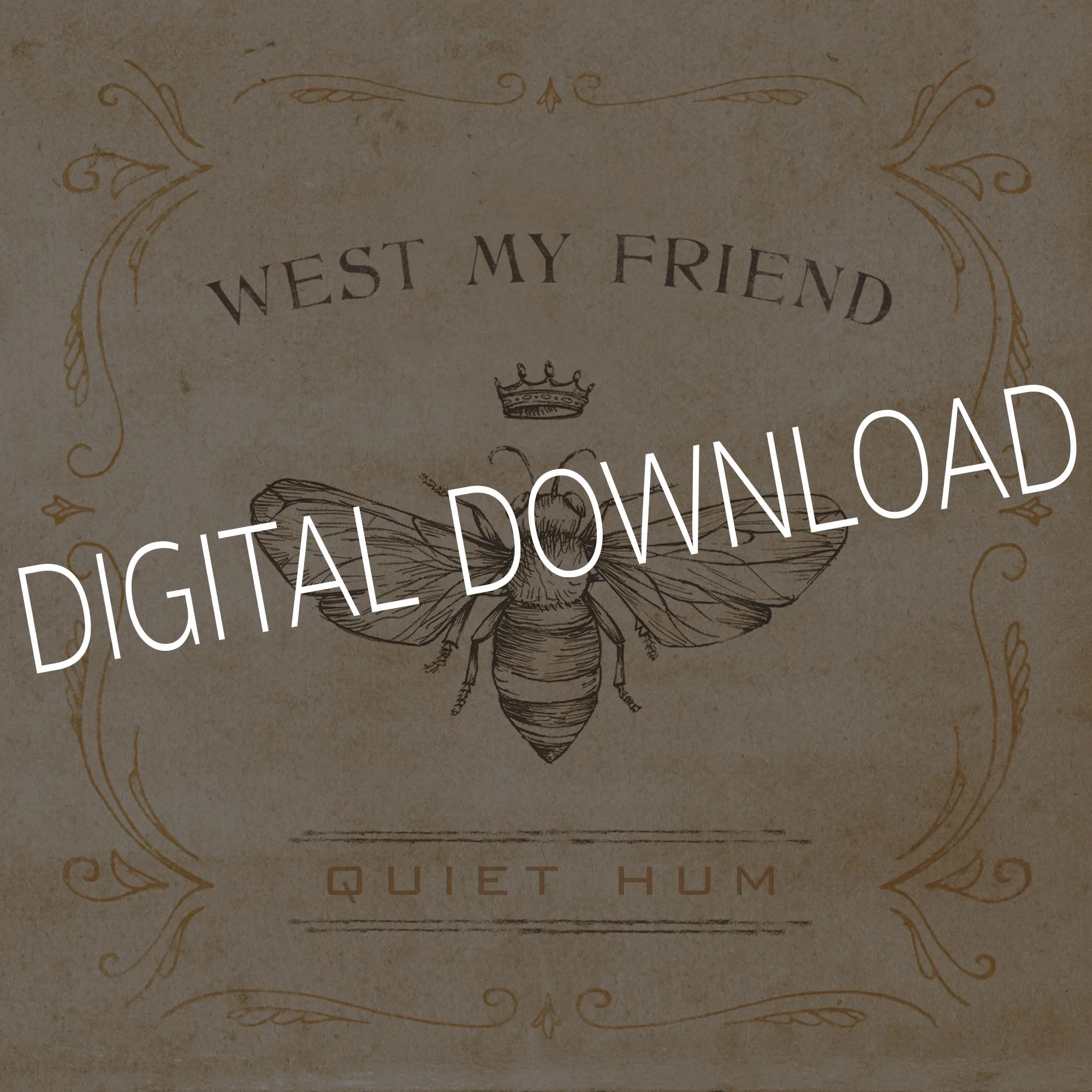 Quiet Hum DD.jpg