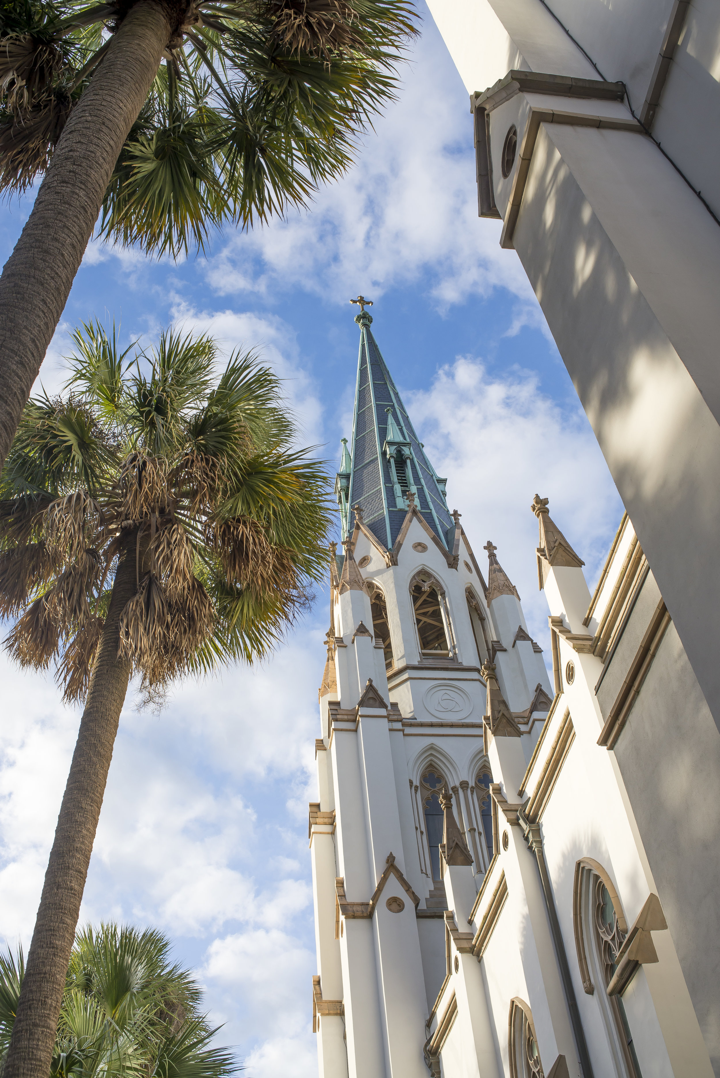 7 Must-Do Activities On your Savannah Vacation