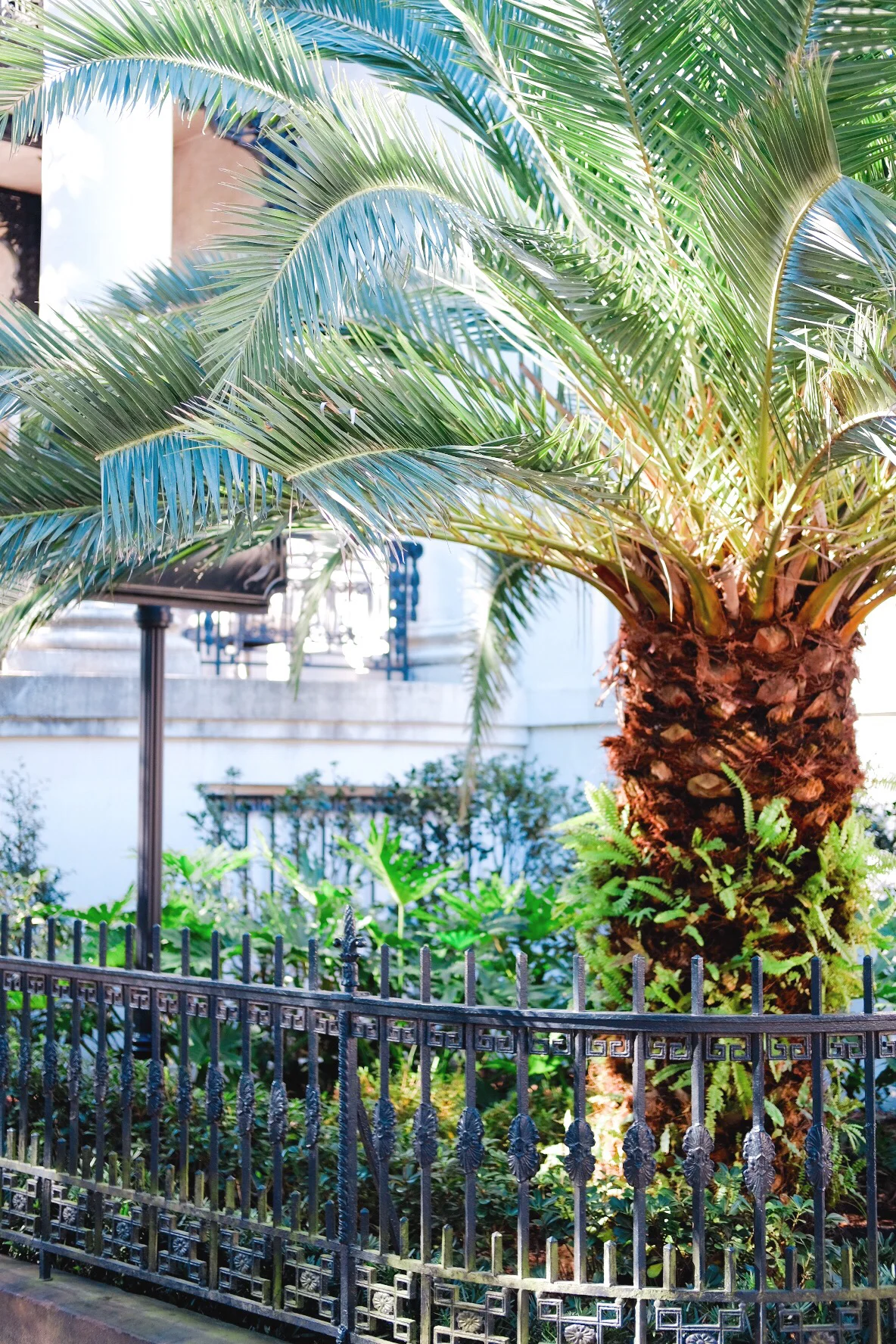 Savannah History Tour Genteel & Bard — GENTEEL & BARD