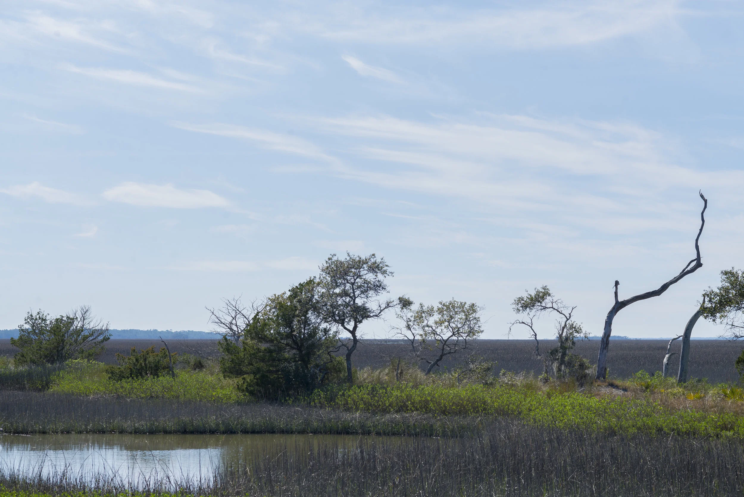 Marsh views from Tybee Island | photo by MDB Photography