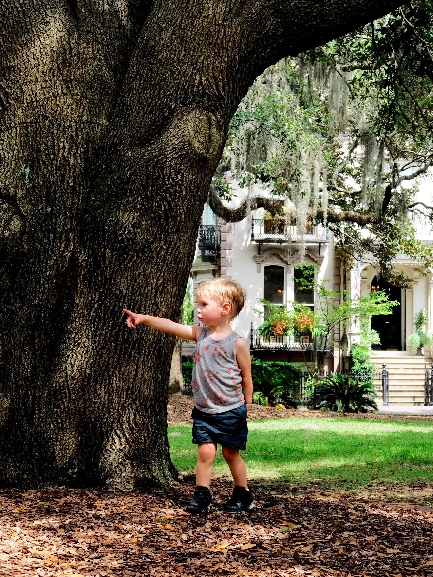 kid-friendly savannah