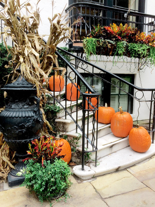 What to do in Autumn in Savannah - A Vacation Guide — GENTEEL & BARD