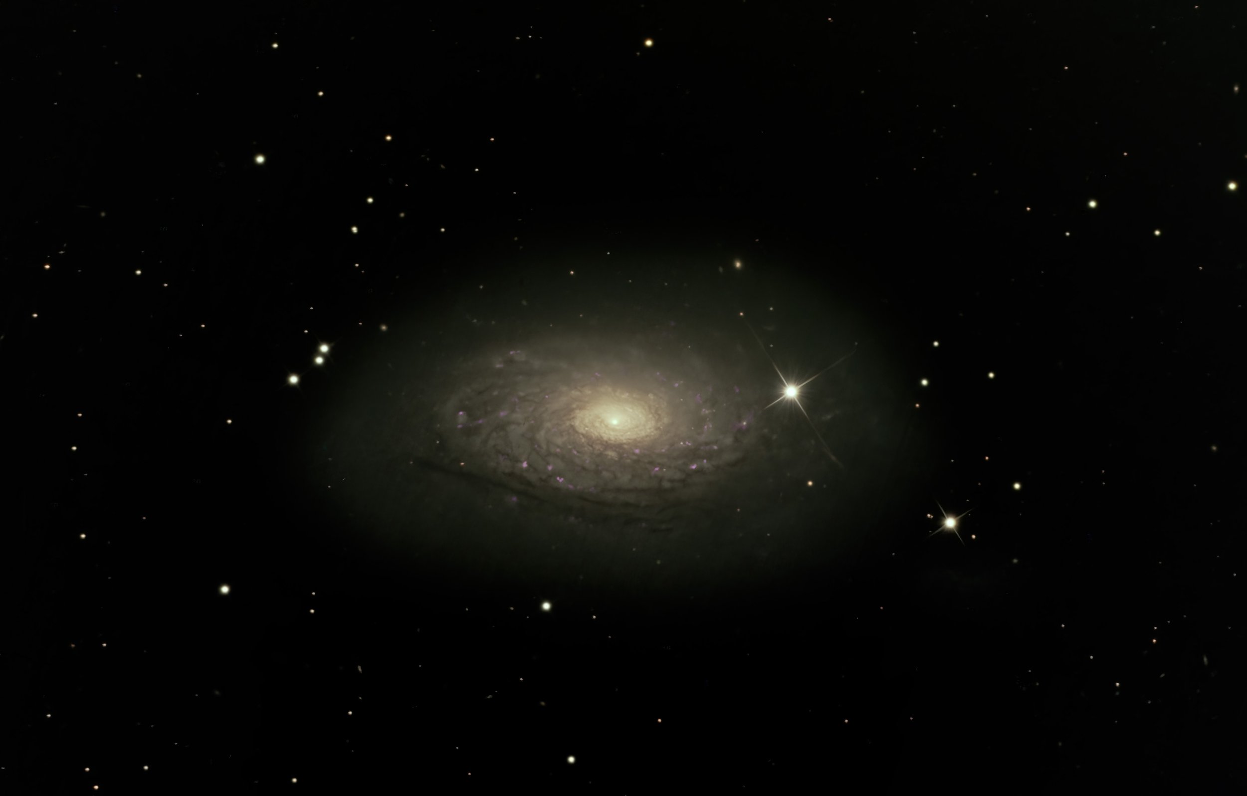 M63 The Sunflower Galaxy