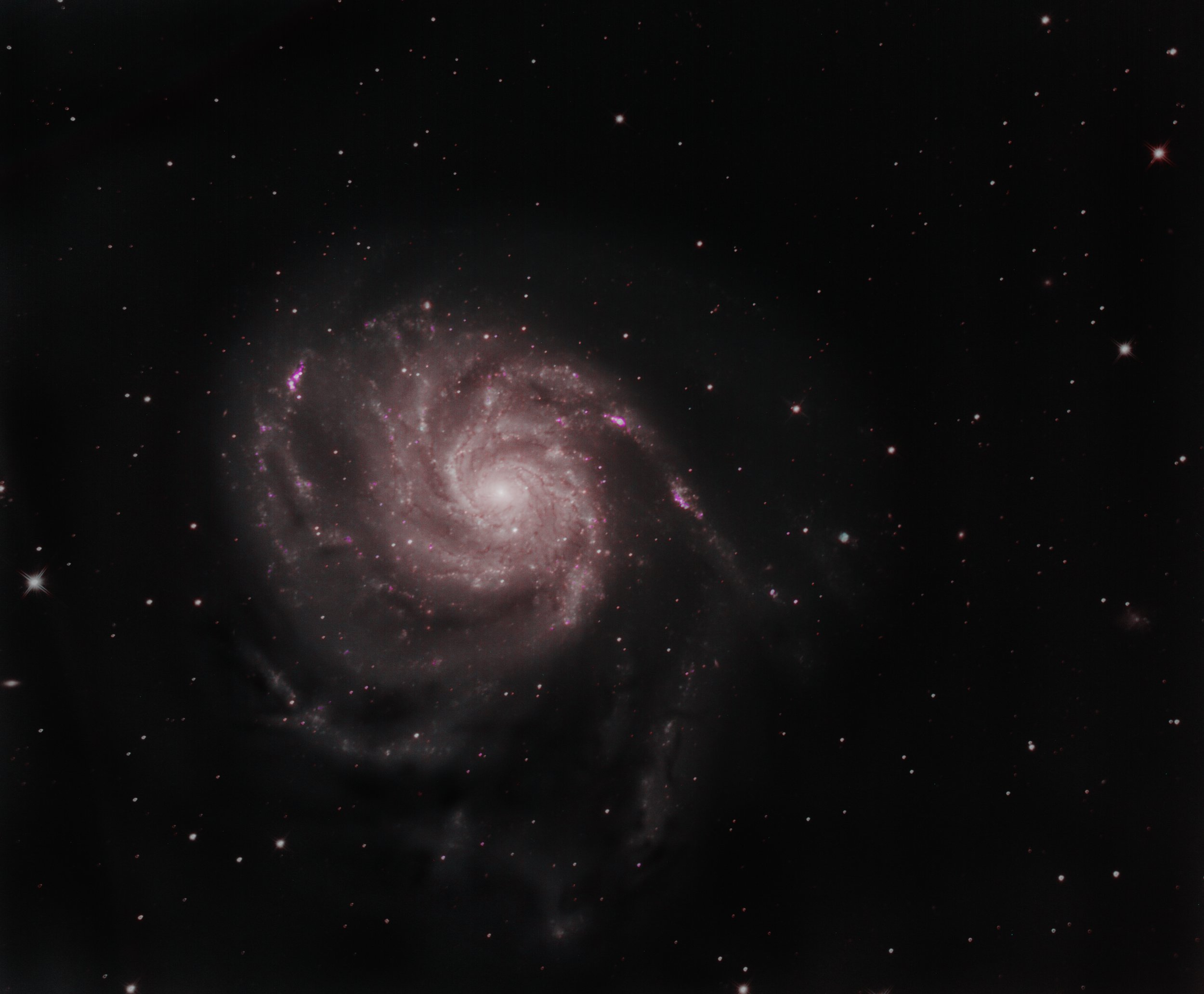 M101 Final1.jpg