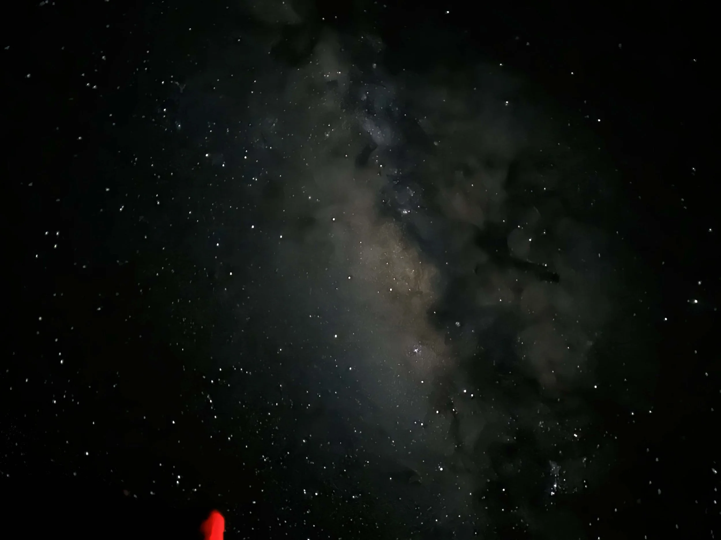 Video “Cocktail Blog” No. 5