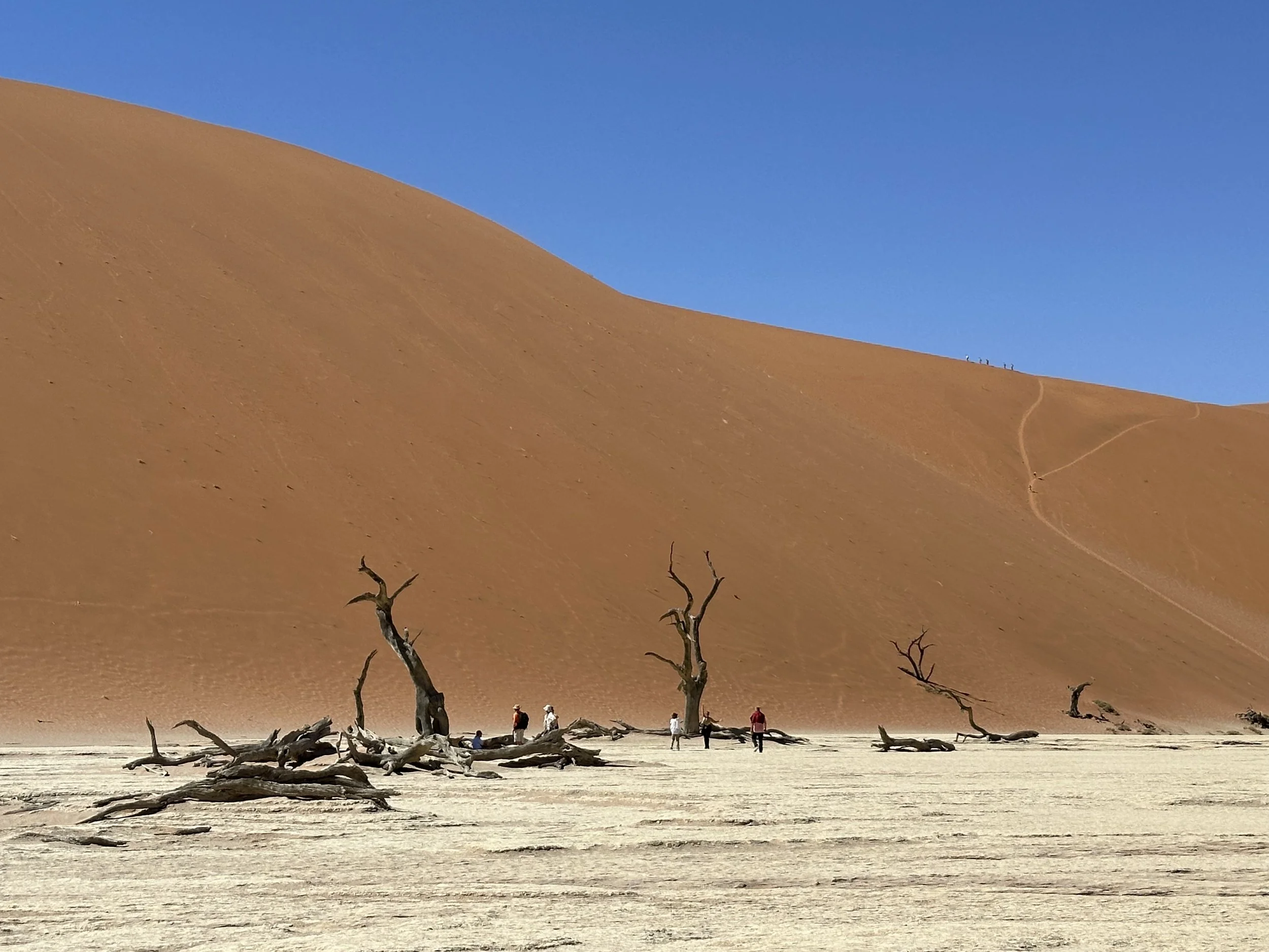 Excursion to Big Daddy Sand Dune