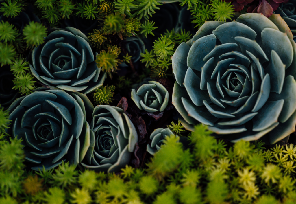banner4.png